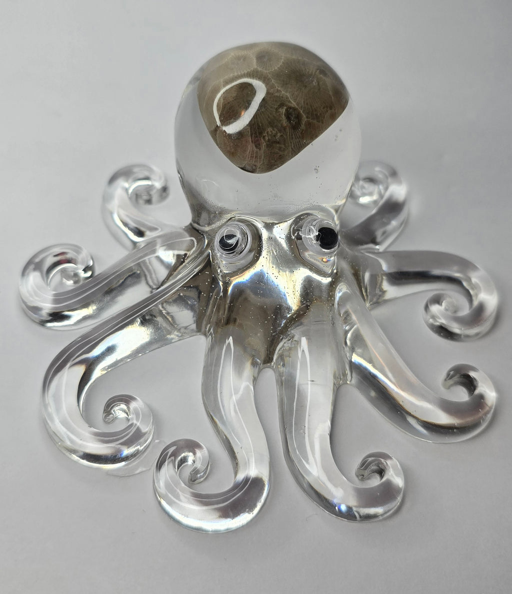 Petoskey stone octopus