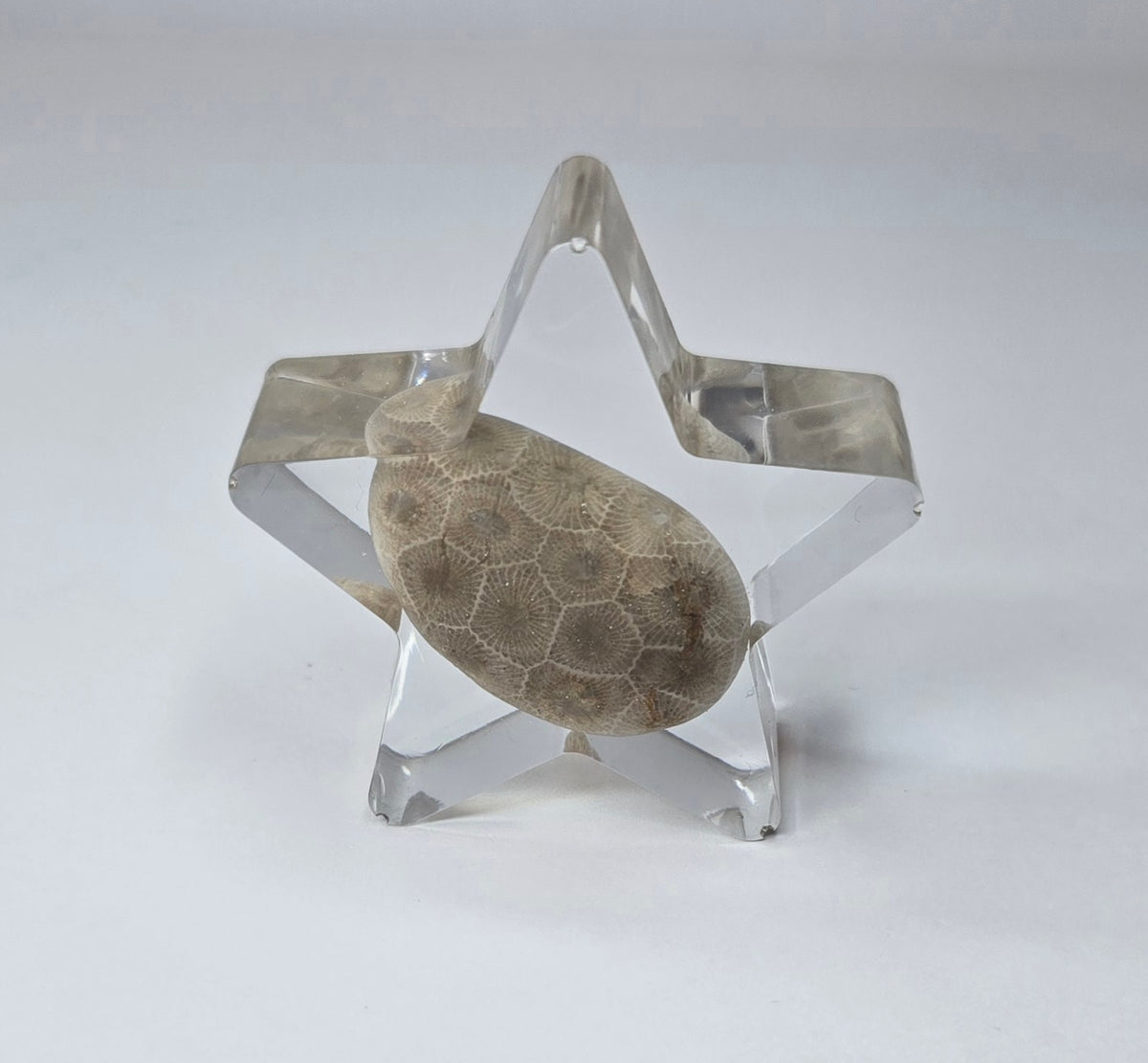 Small Petoskey stone star