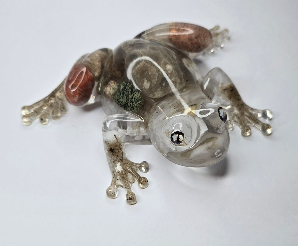 Rock collection frog