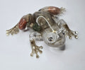 Rock collection frog