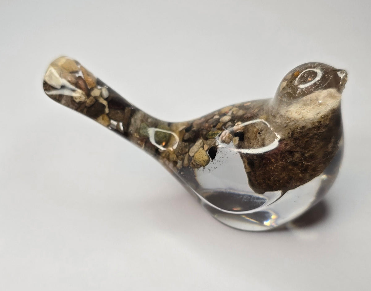 Bird with stones