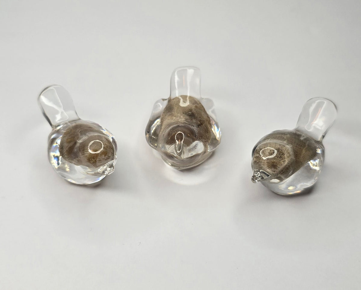 3 tiny Petoskey stone birds