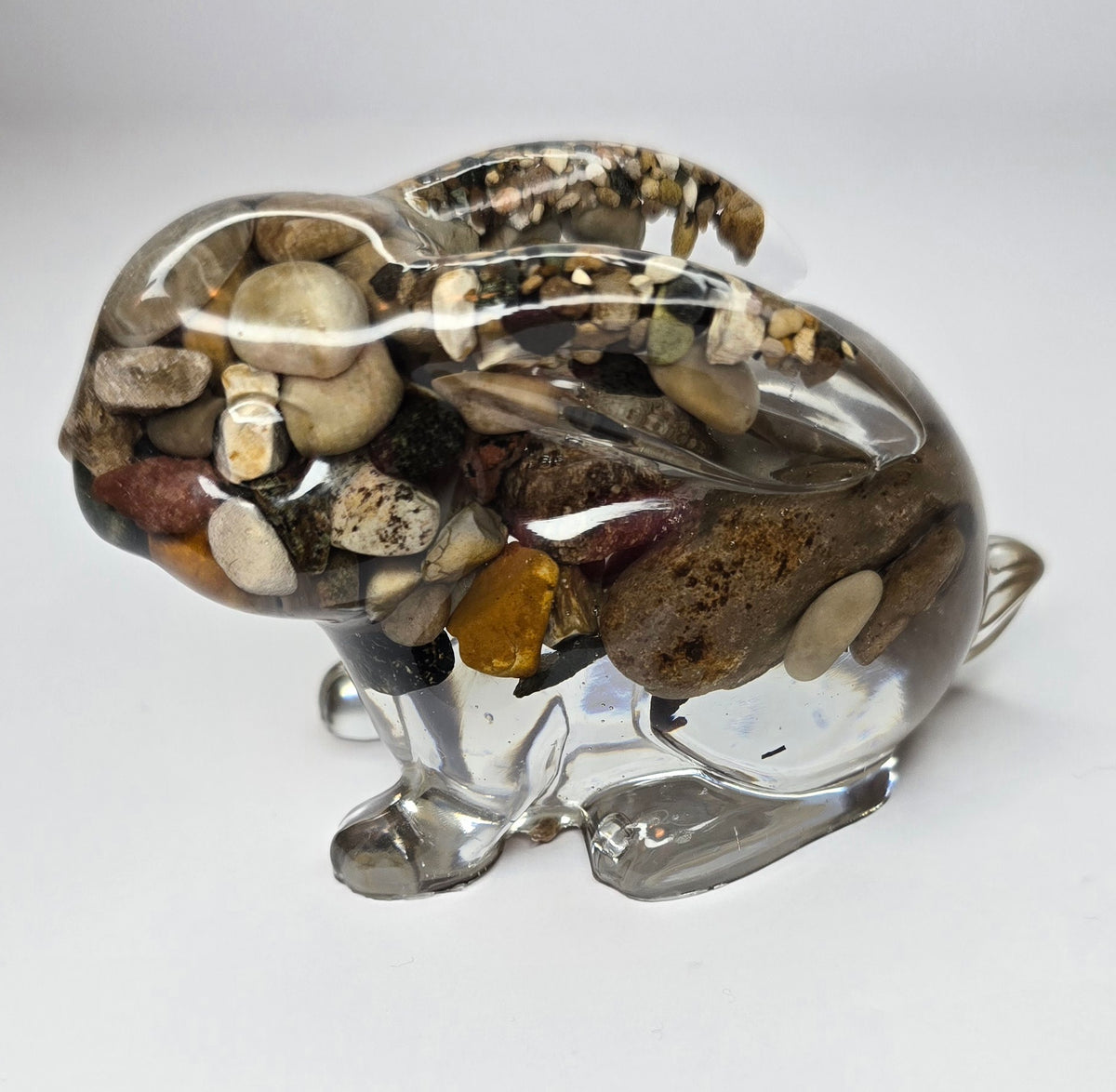 Rock collection bunny rabbit