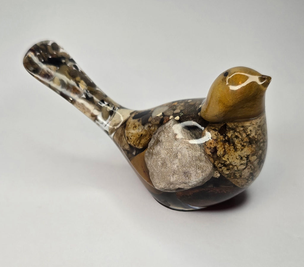Rock collection bird with Petoskey stone