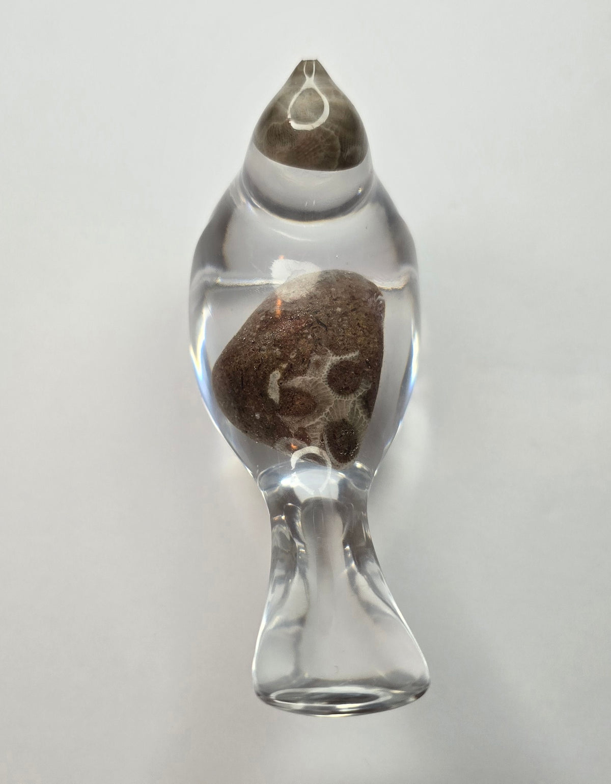 Bird with Petoskey stones
