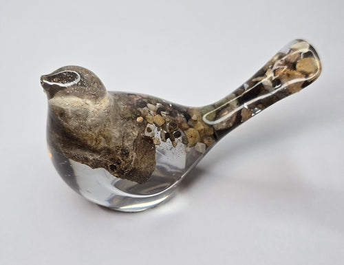 Bird with stones