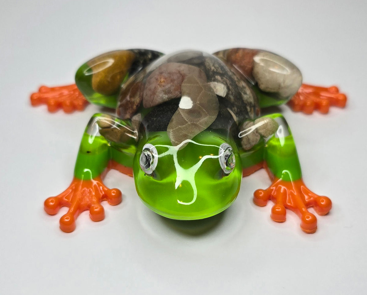 Rock collection Tree Frog