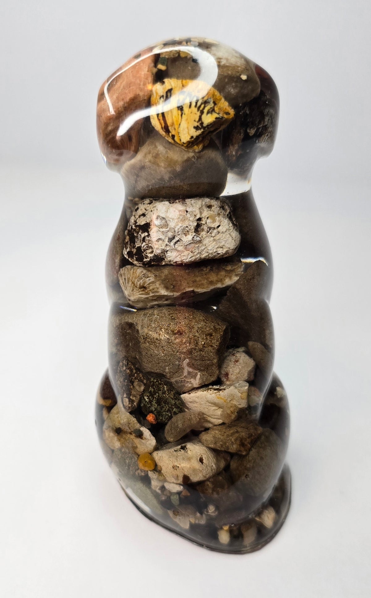Rock collection DOG