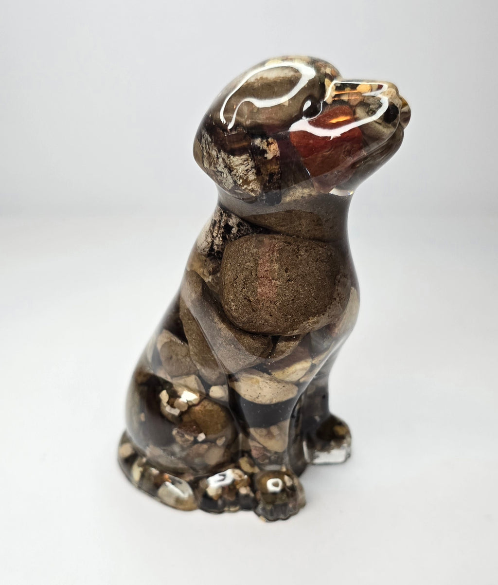 Rock collection DOG