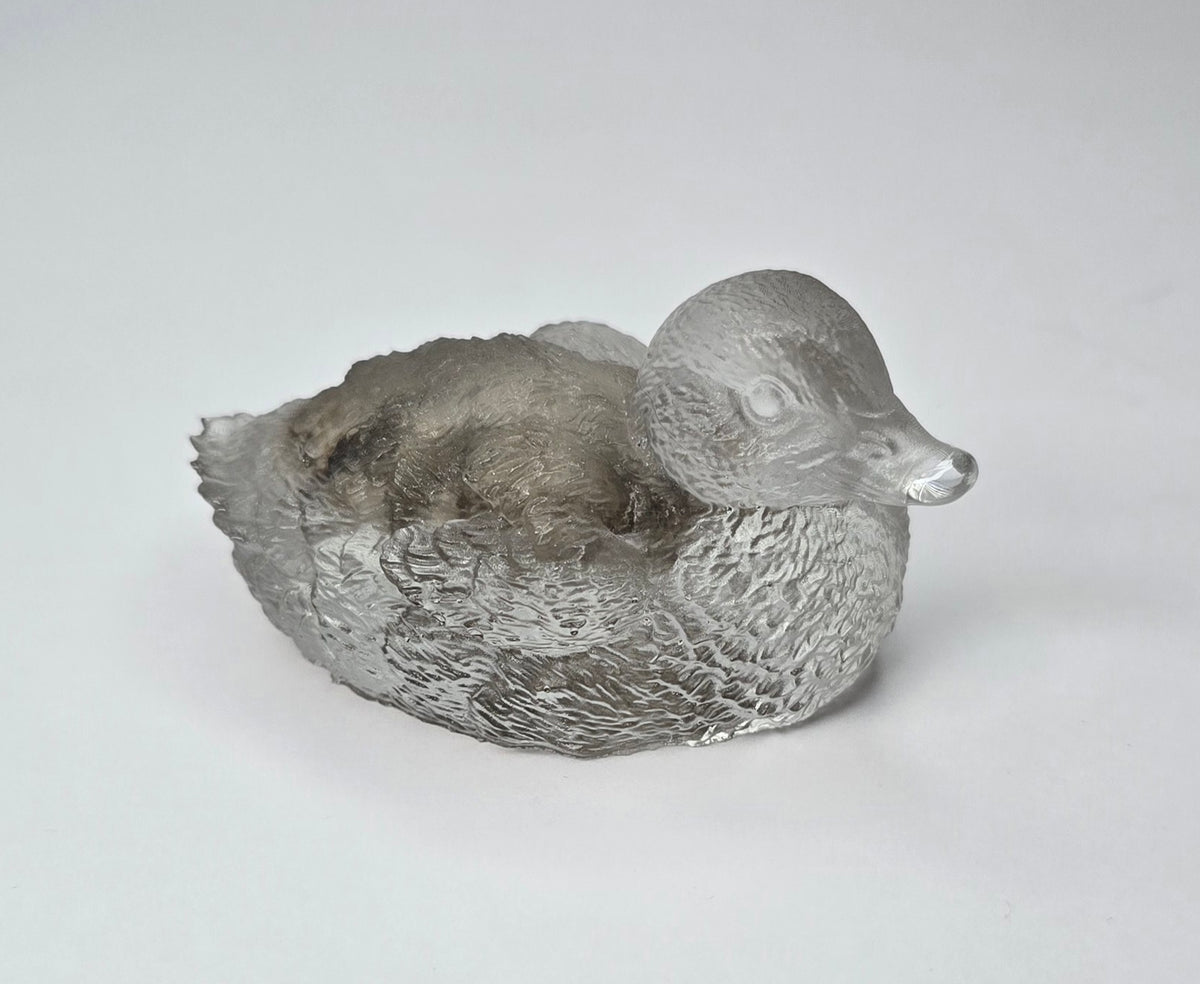 Michigan fossil duck