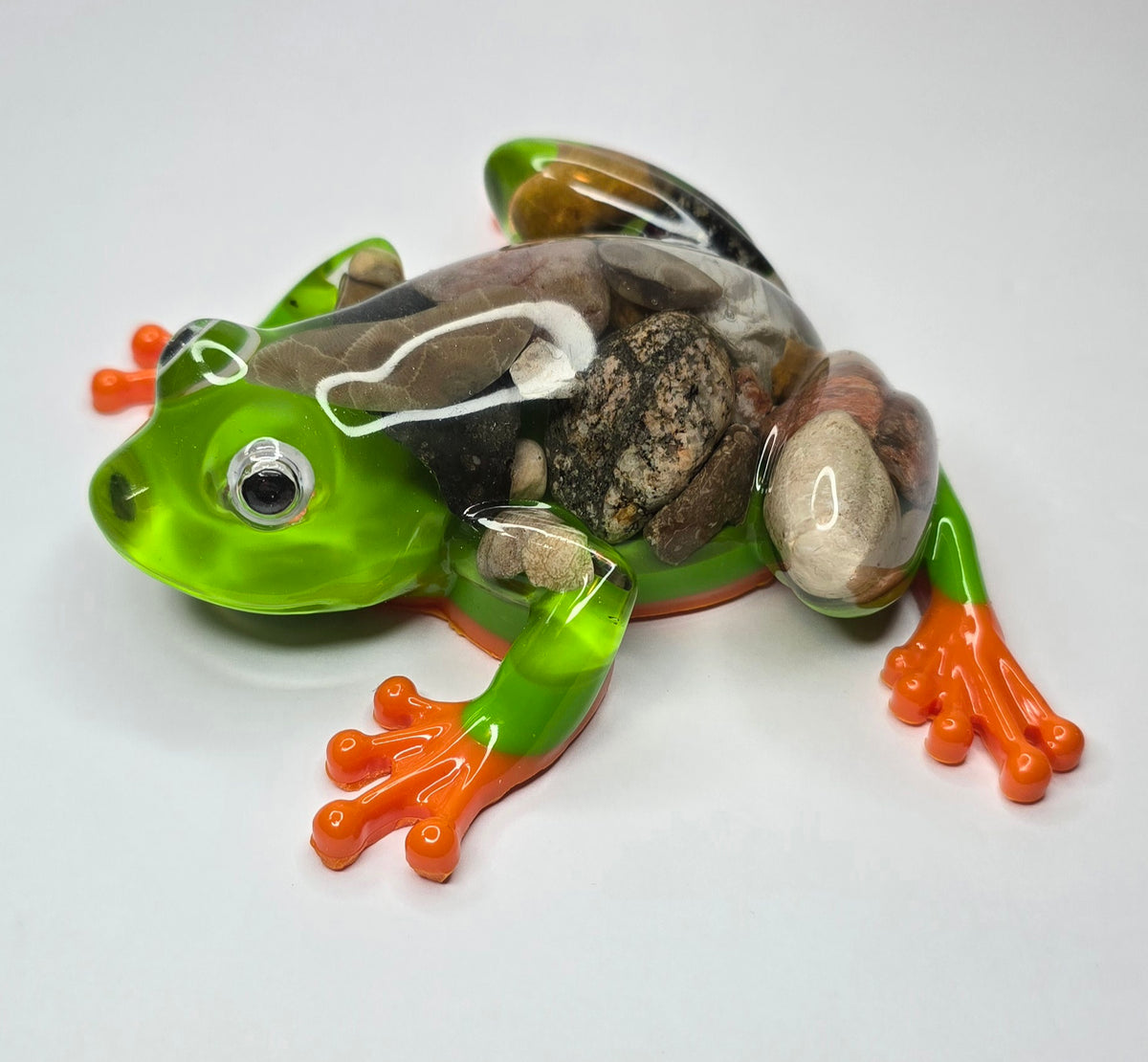 Rock collection Tree Frog