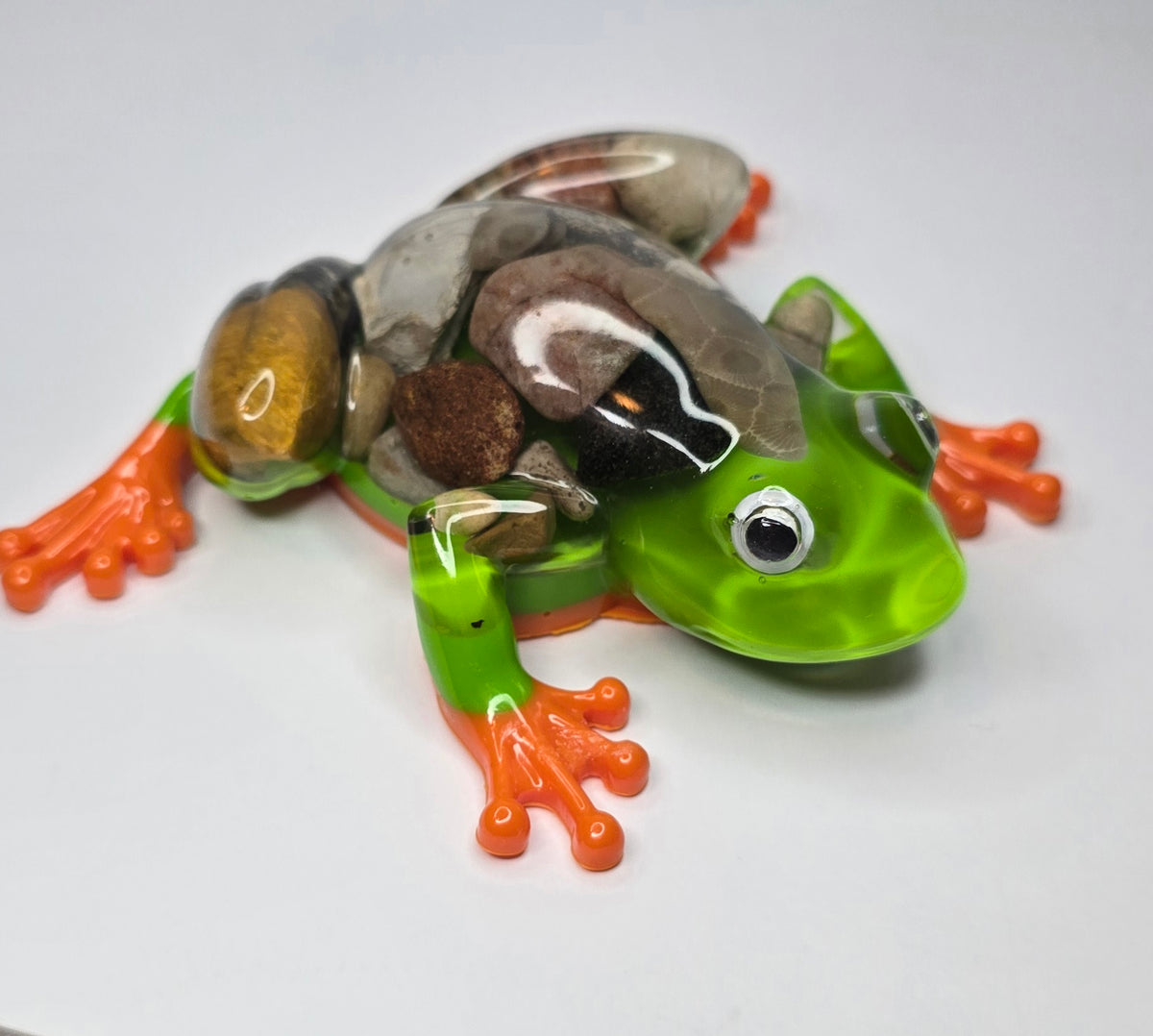 Rock collection Tree Frog