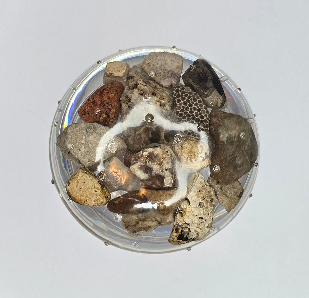 Tall rock collection mushroom