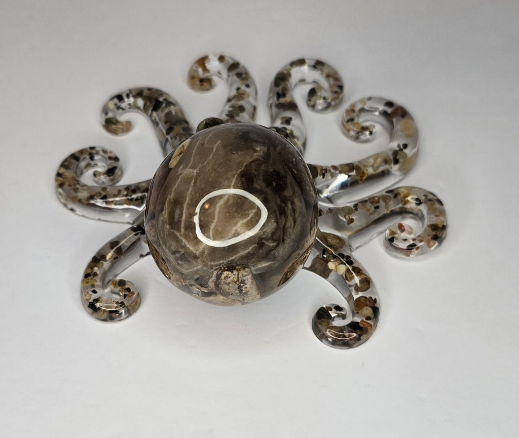 Rock collection octopus with Petoskey stone