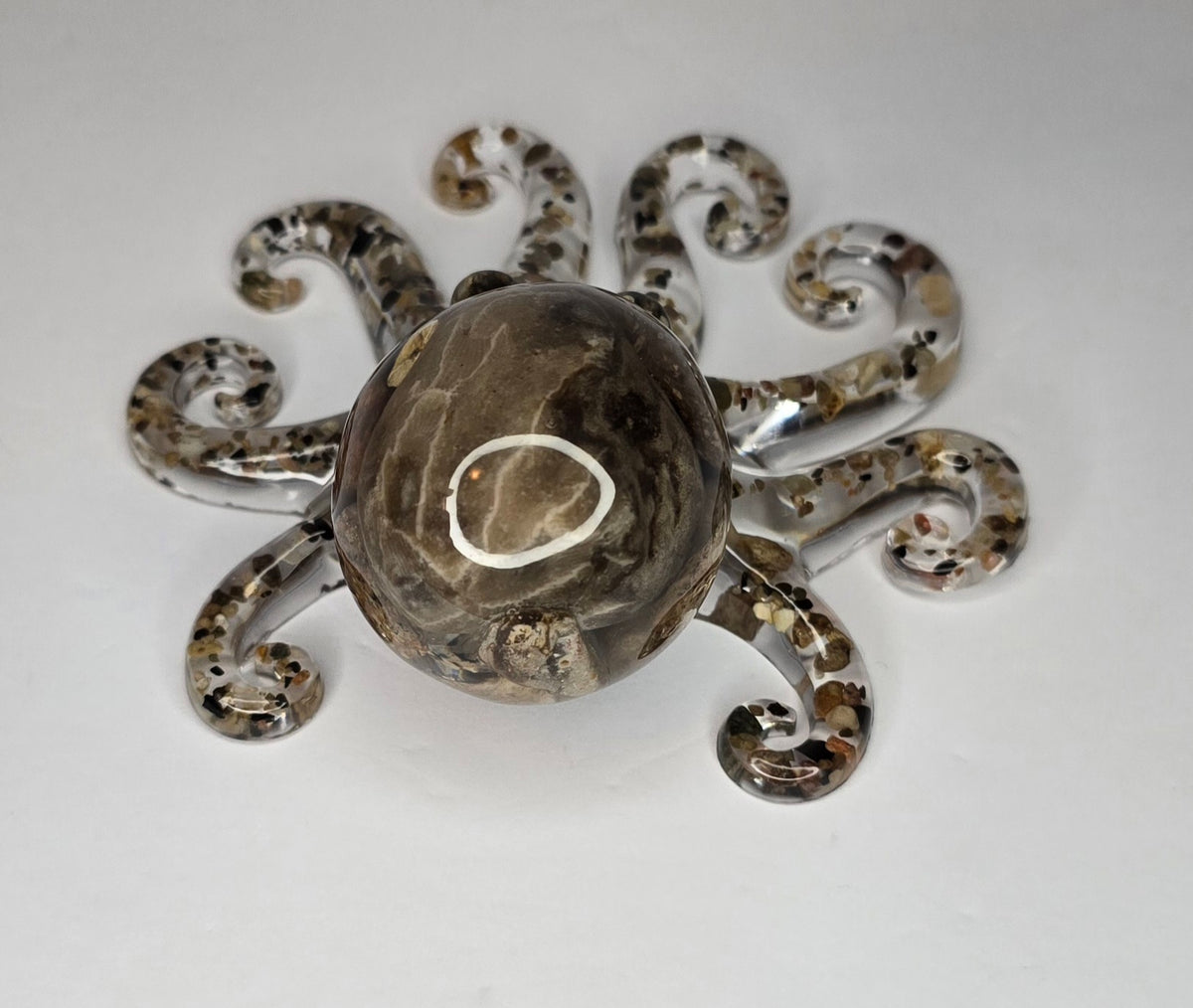 Rock collection octopus with Petoskey stone