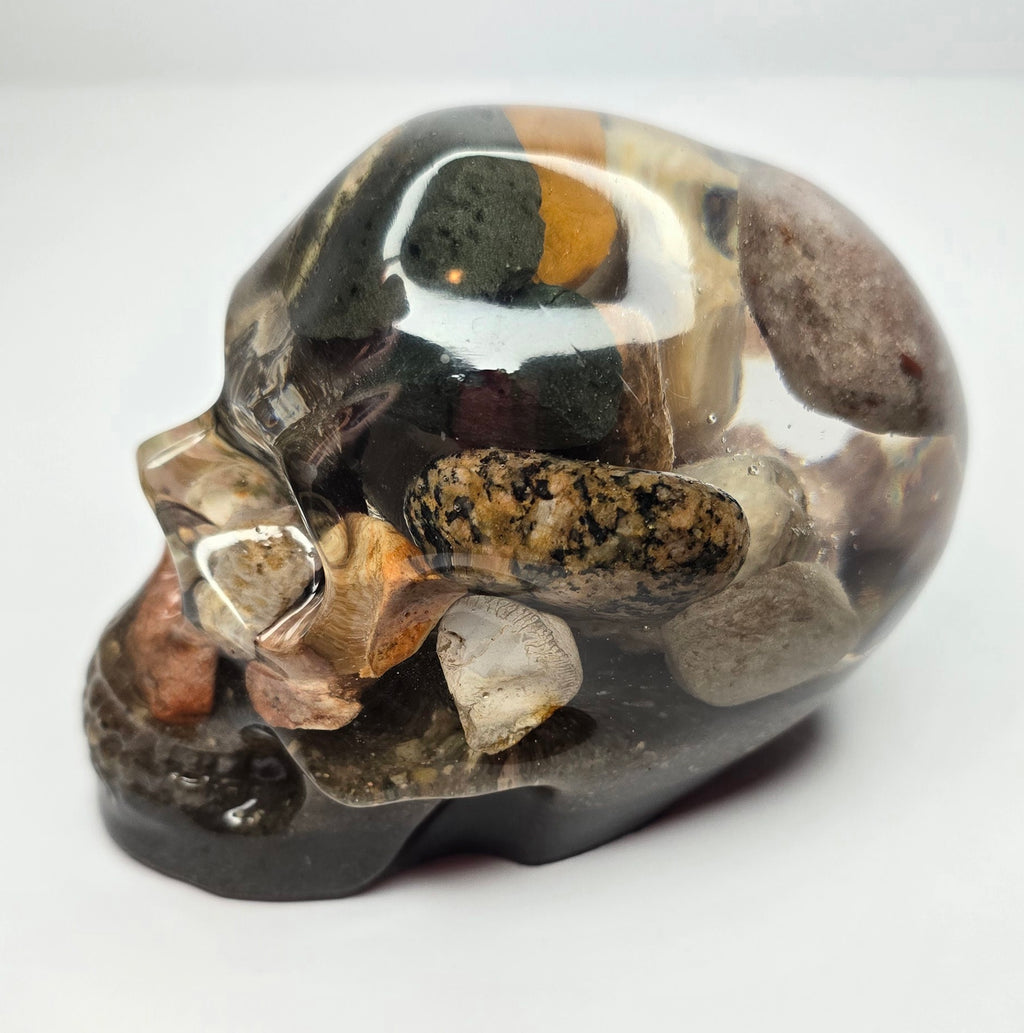 Rock collection skull with pudding stone
