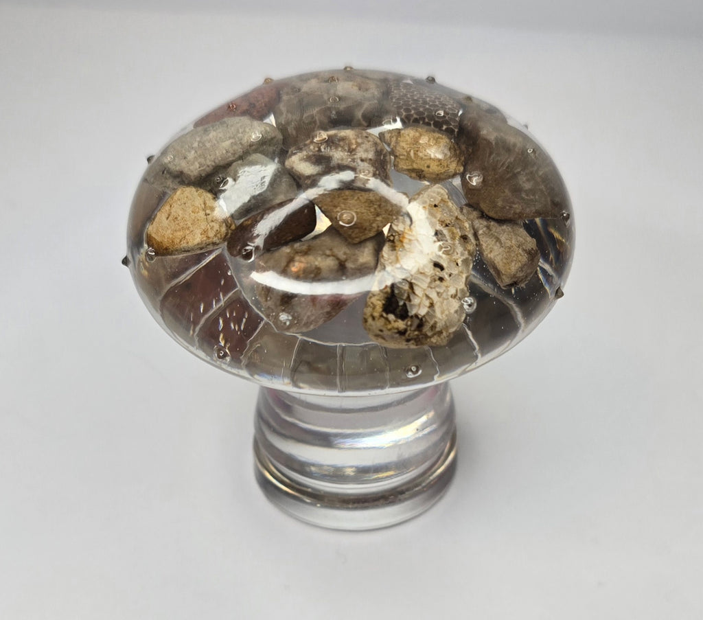 Tall rock collection mushroom