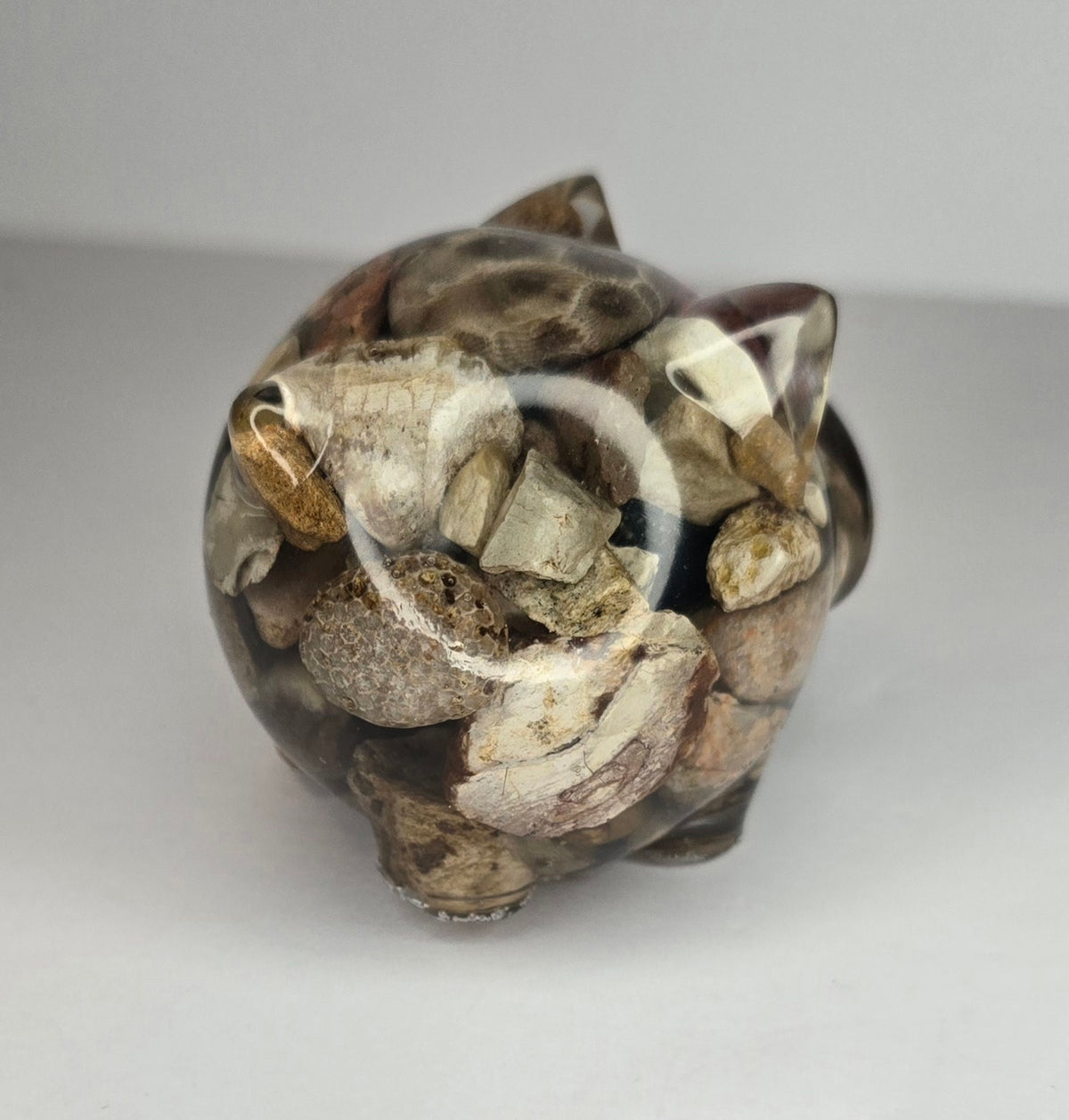 Rock collection PIG with Petoskey stone