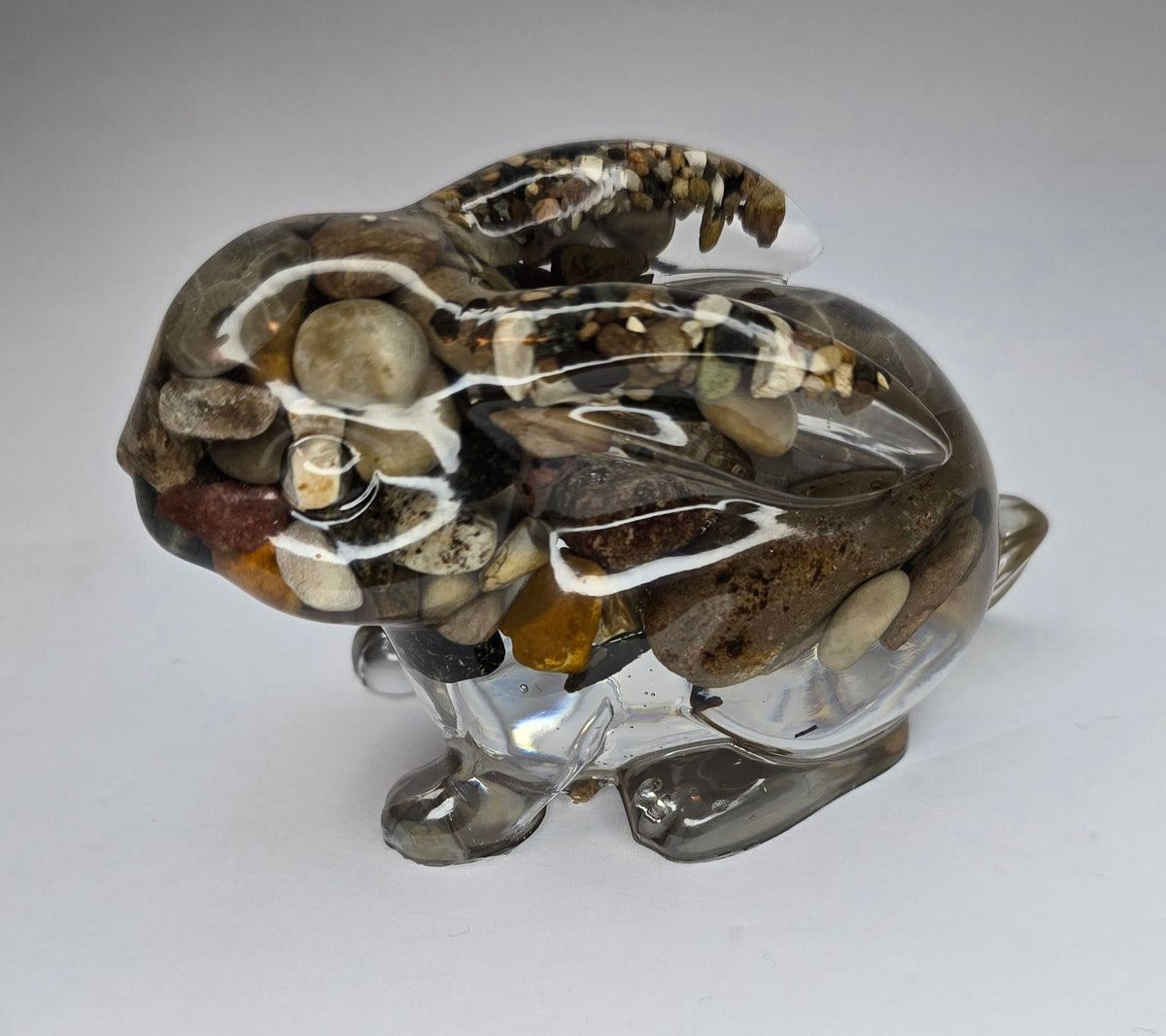 Rock collection bunny rabbit