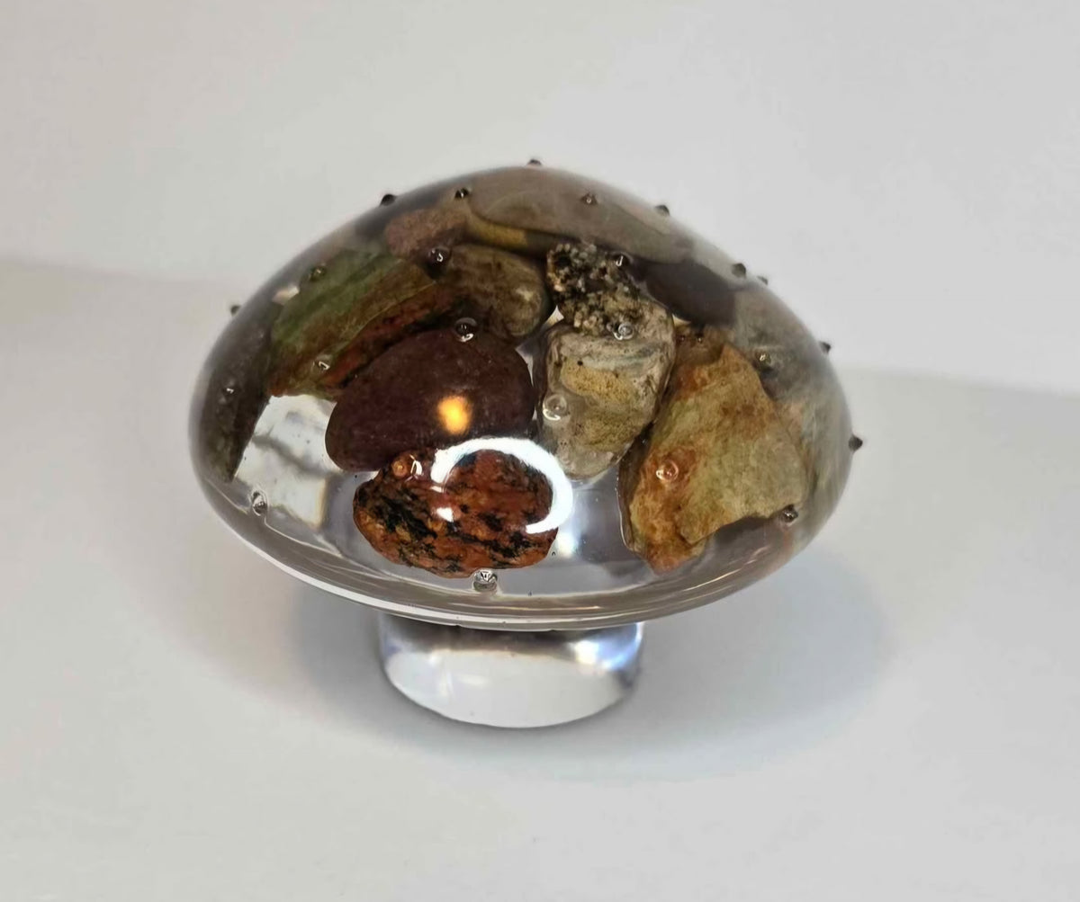 Short rock collection mushroom