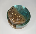 Michigan rock collection coaster set with Petoskey stones