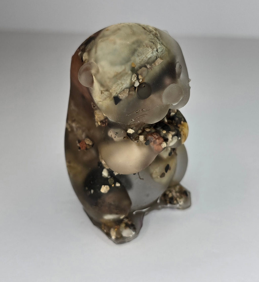 Rock collection otter