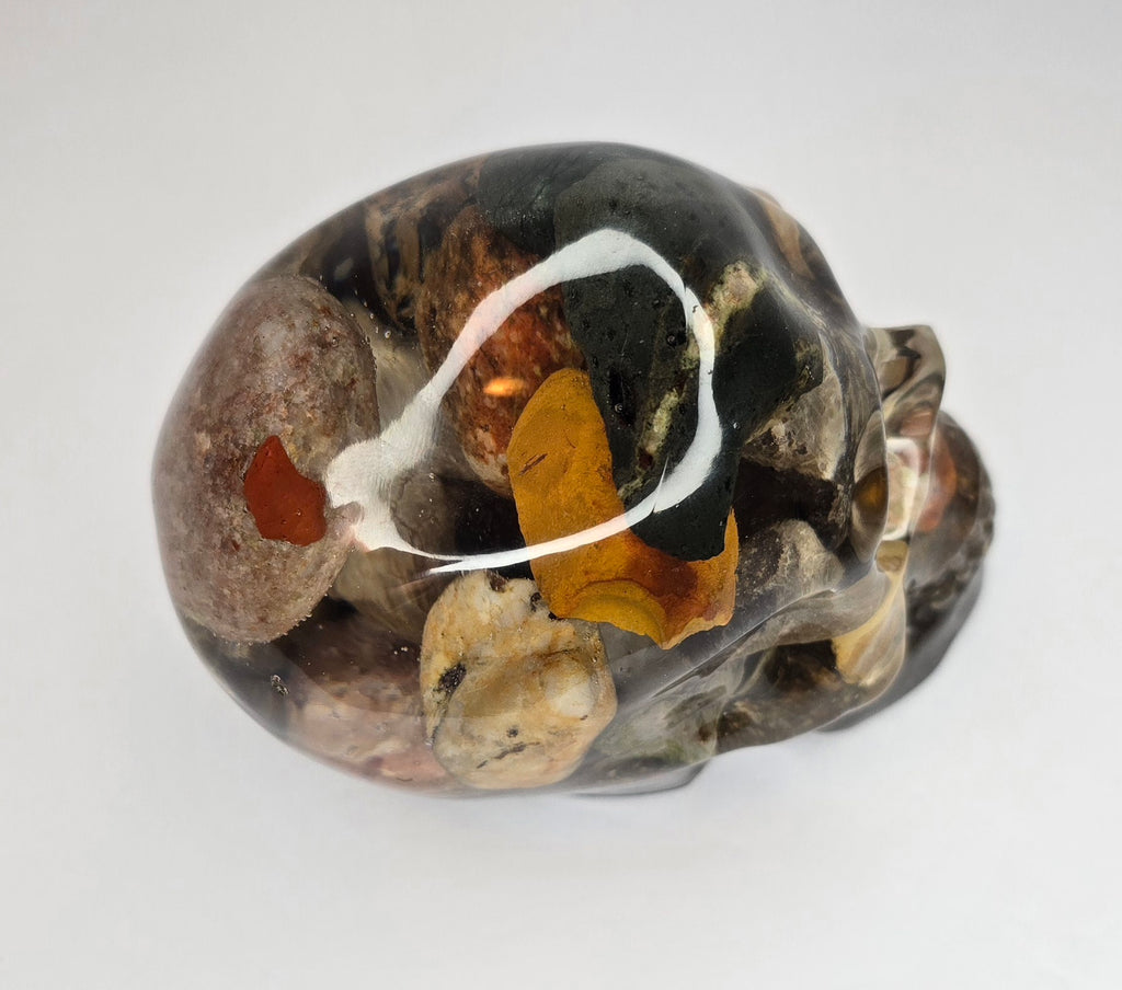 Rock collection skull with pudding stone