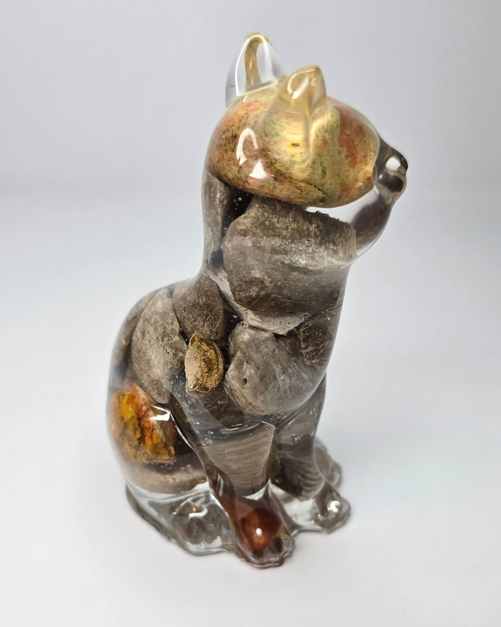 Rock collection cat