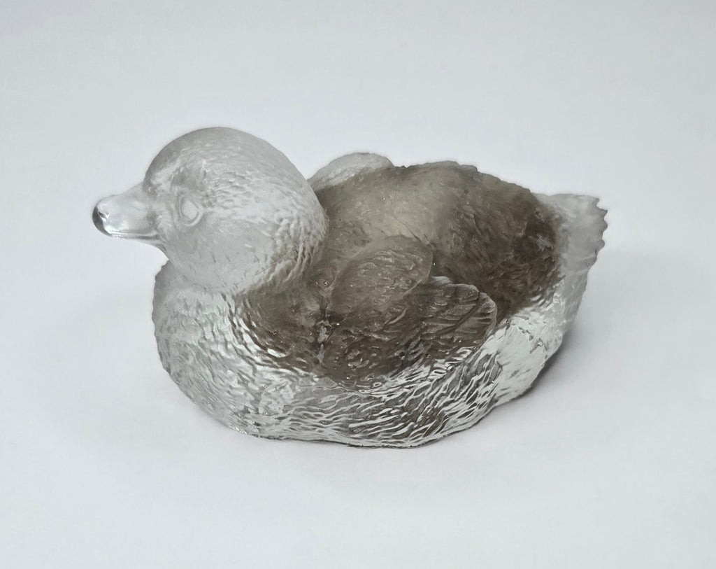 Michigan fossil duck
