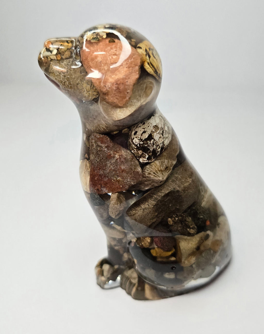Rock collection DOG