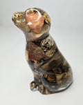 Rock collection DOG