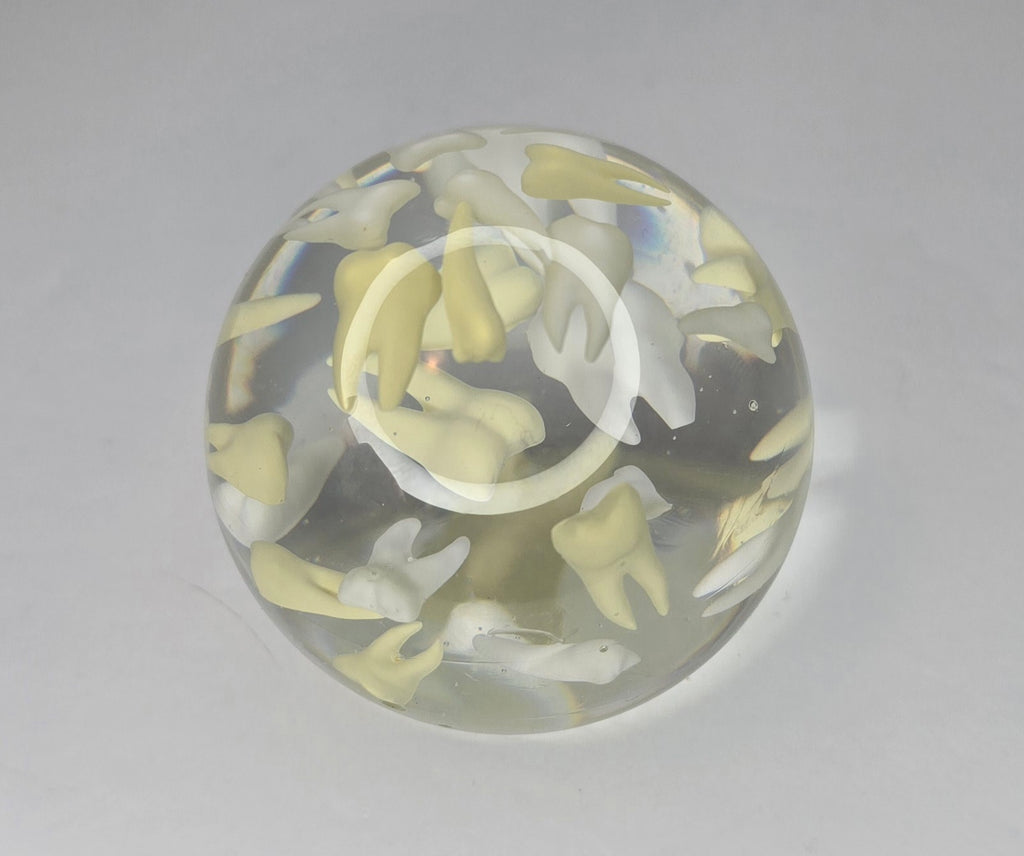 Tooth paperweight sphere
