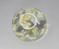 Tooth paperweight sphere