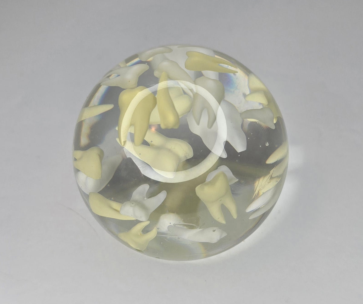 Tooth paperweight sphere