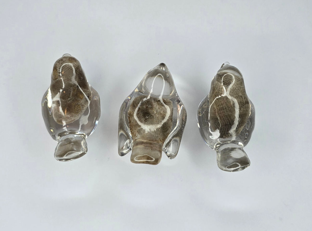 3 tiny Petoskey stone birds