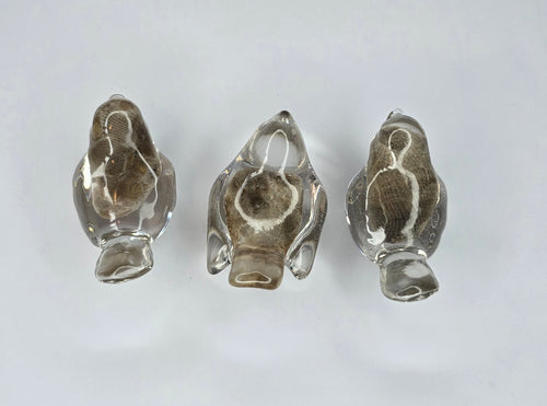 3 tiny Petoskey stone birds
