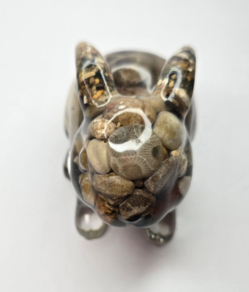 Rock collection bunny rabbit