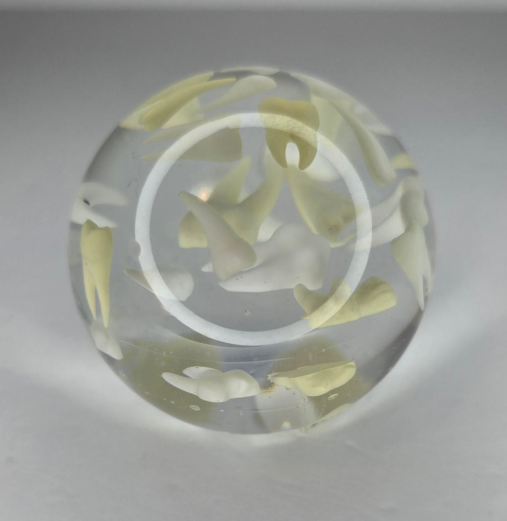 Tooth paperweight sphere