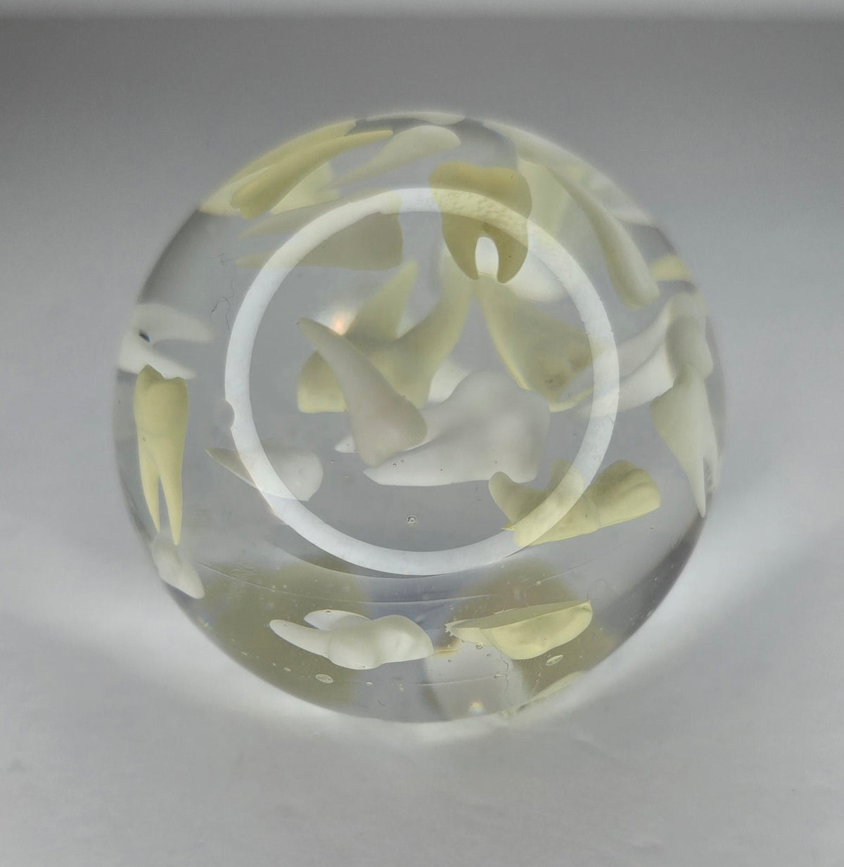 Tooth paperweight sphere