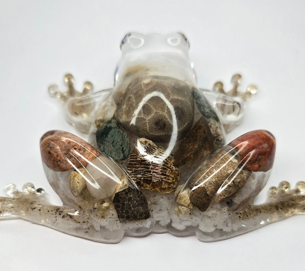 Rock collection frog
