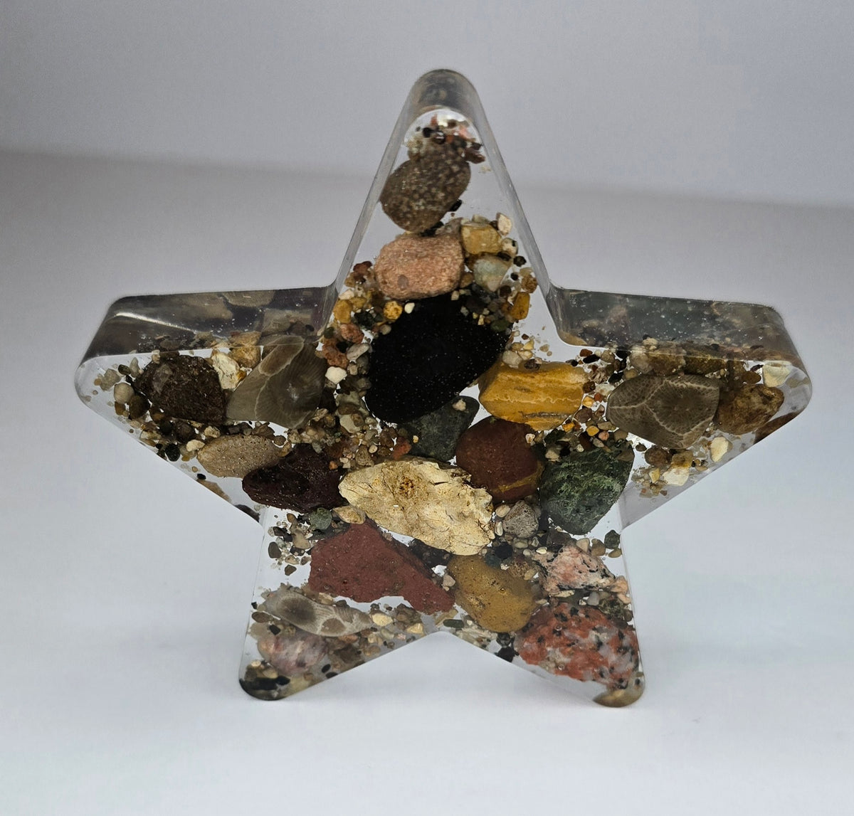 Large rock collection star with Petoskey stone