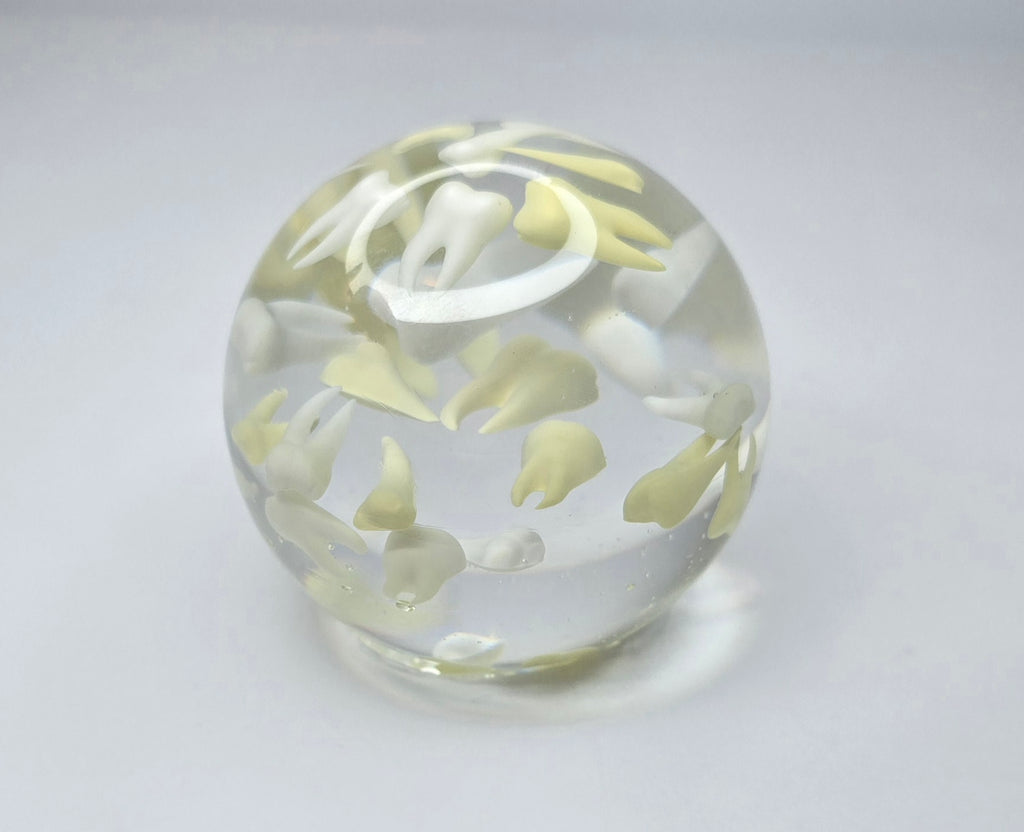 Tooth paperweight sphere