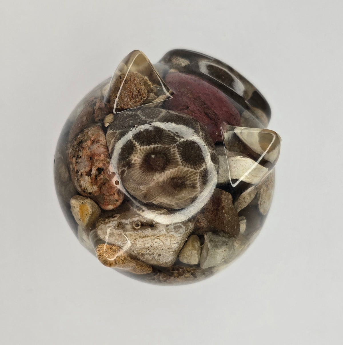 Rock collection PIG with Petoskey stone