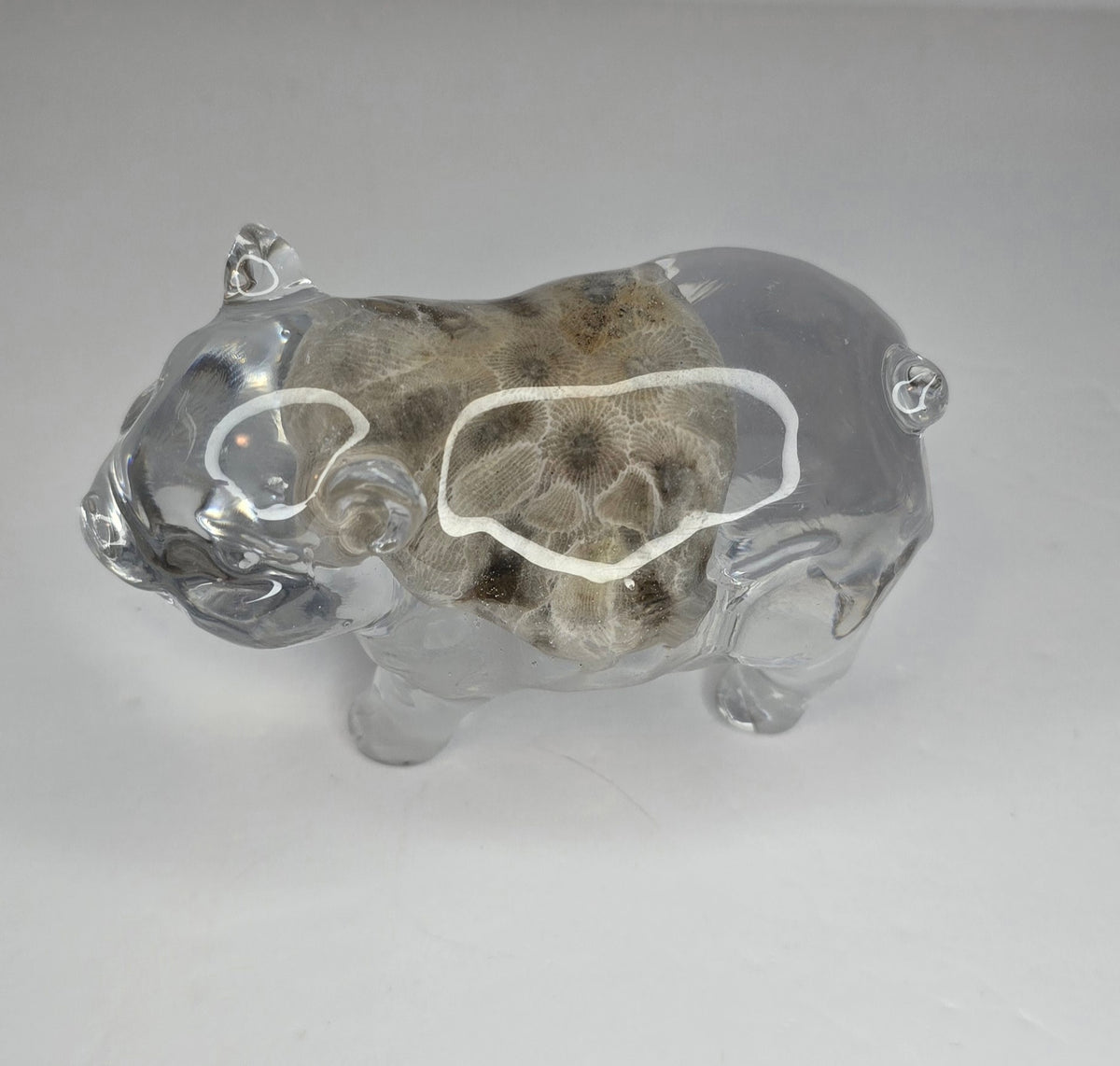 Petoskey stone pig FLAWED