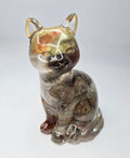 Rock collection cat