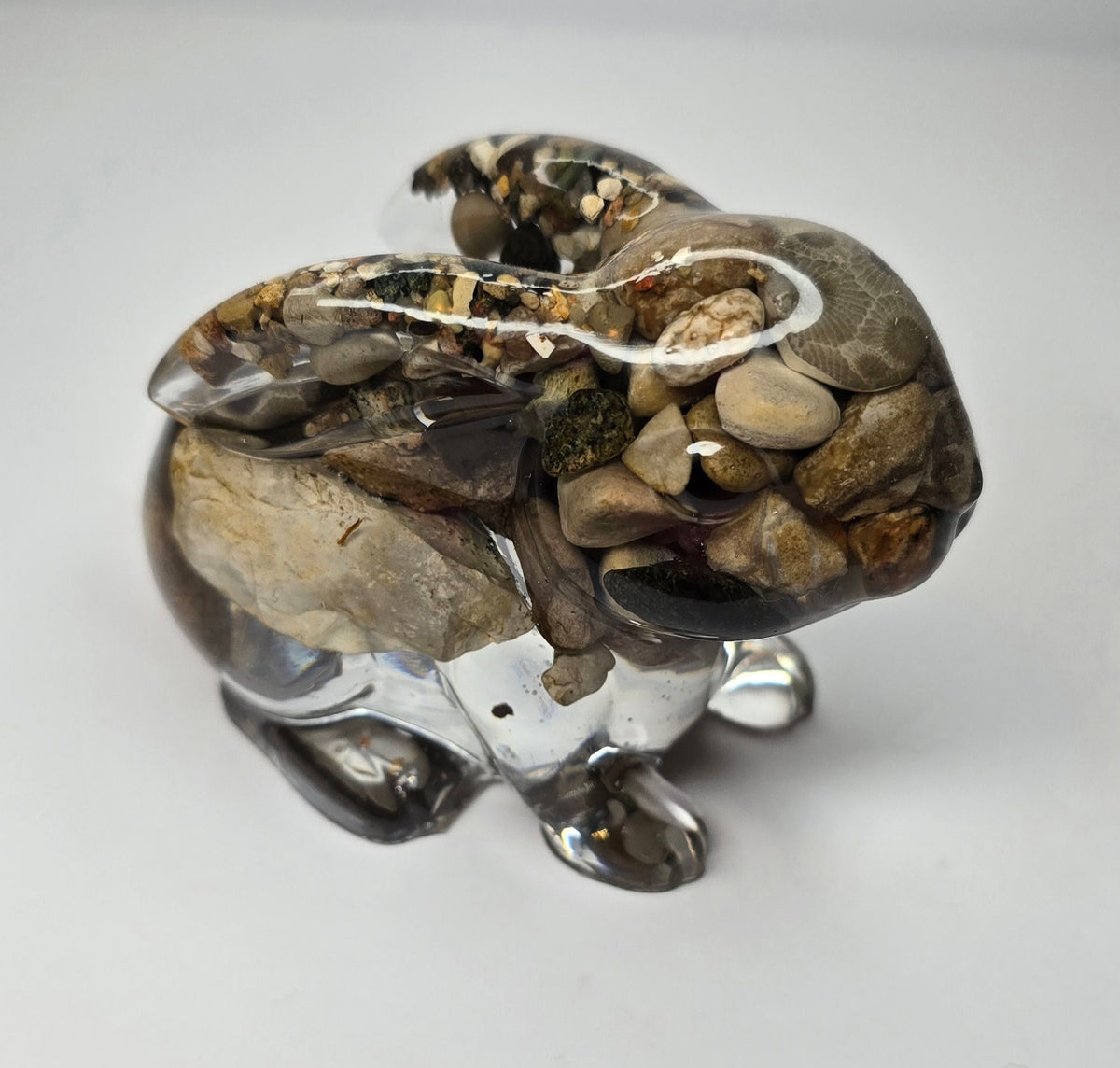 Rock collection bunny rabbit