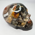 Rock collection skull with pudding stone
