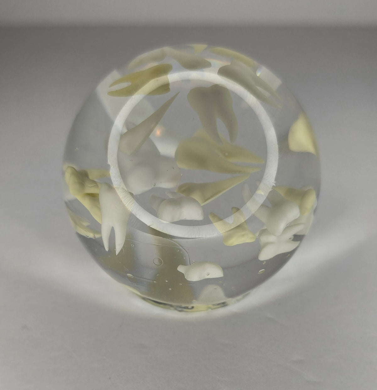 Tooth paperweight sphere