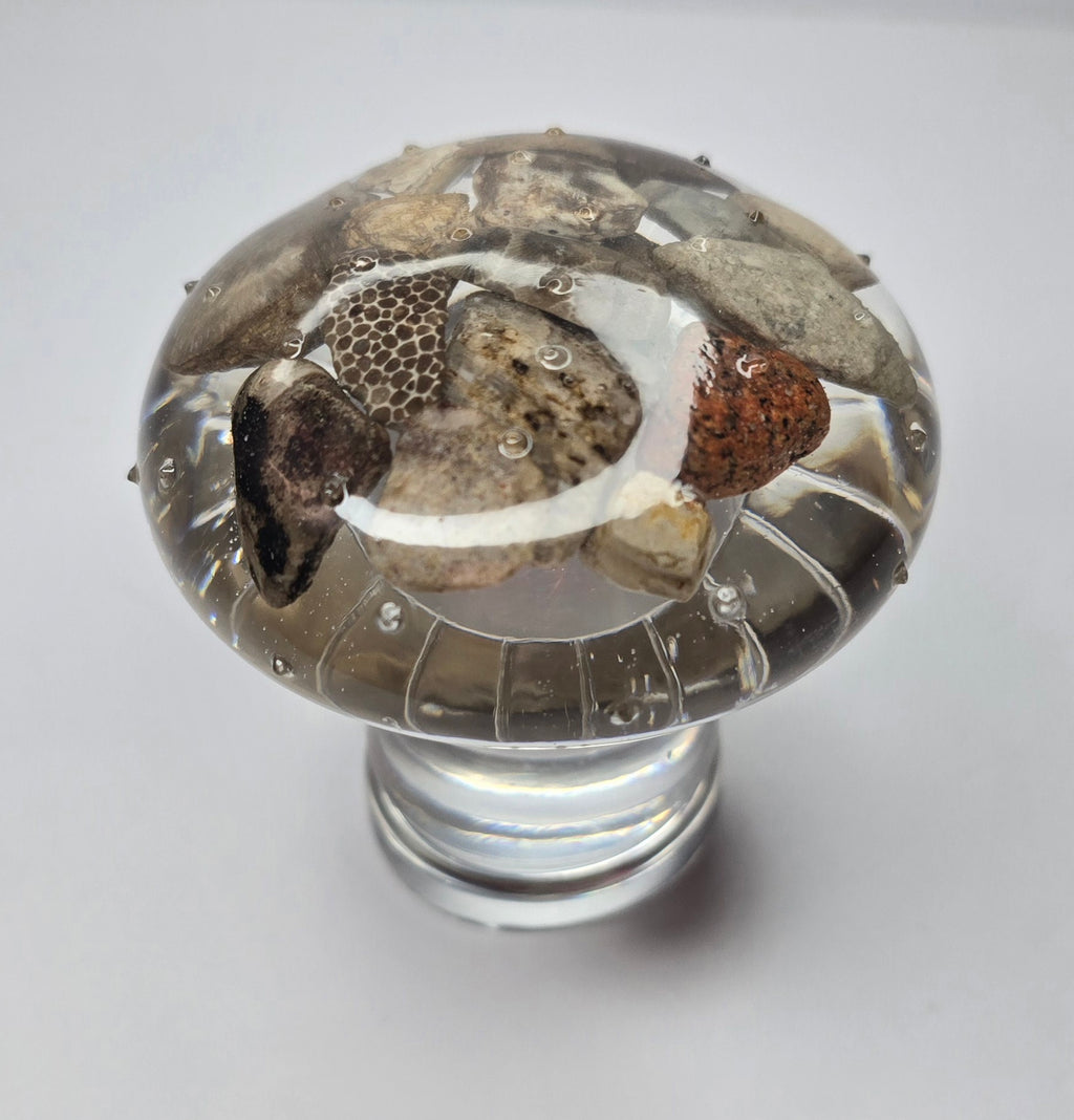 Tall rock collection mushroom
