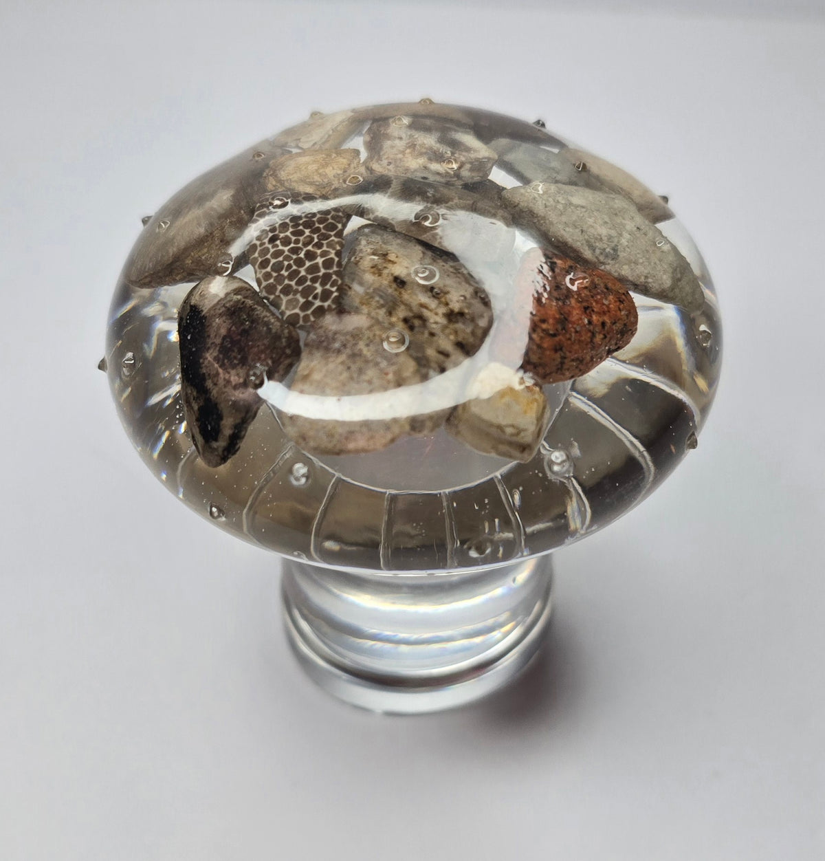 Tall rock collection mushroom